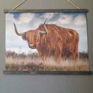 Wanddoek. Hooglander in veld. 80×60